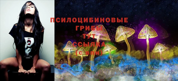 mdpv Алексин