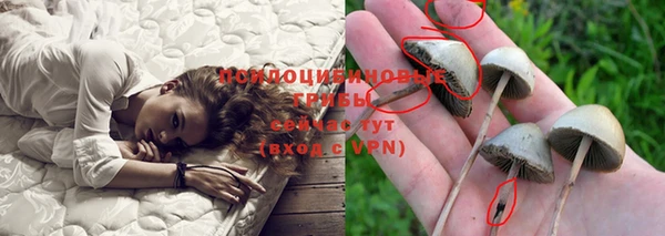 мет Баксан