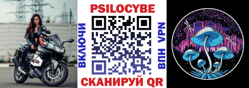 где продают   Полевской  Галлюциногенные грибы Magic Shrooms 