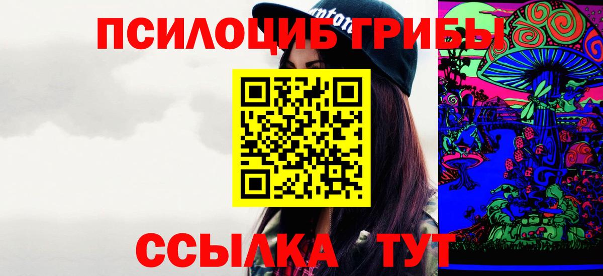 Псилоцибиновые грибы Psilocybe  Вход с VPN  Полевской 